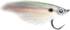 Click to view the fly fishing gallery